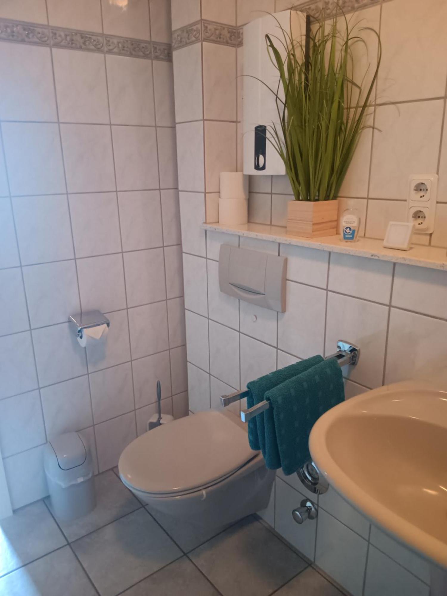 Ferienwohnung Mattheiser Weiher Трир Экстерьер фото